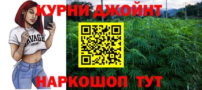 индика Будённовск