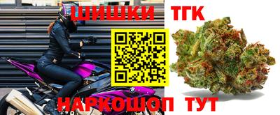 индика Будённовск