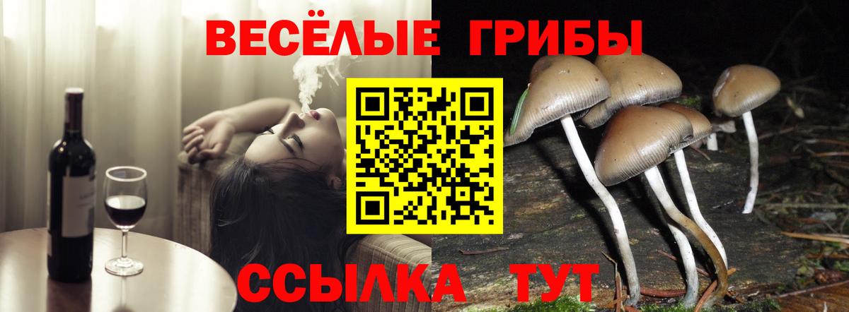 Тайшет  Галлюциногенные грибы прущие грибы  Вход с VPN  Галлюциногенные грибы Magic Shrooms 